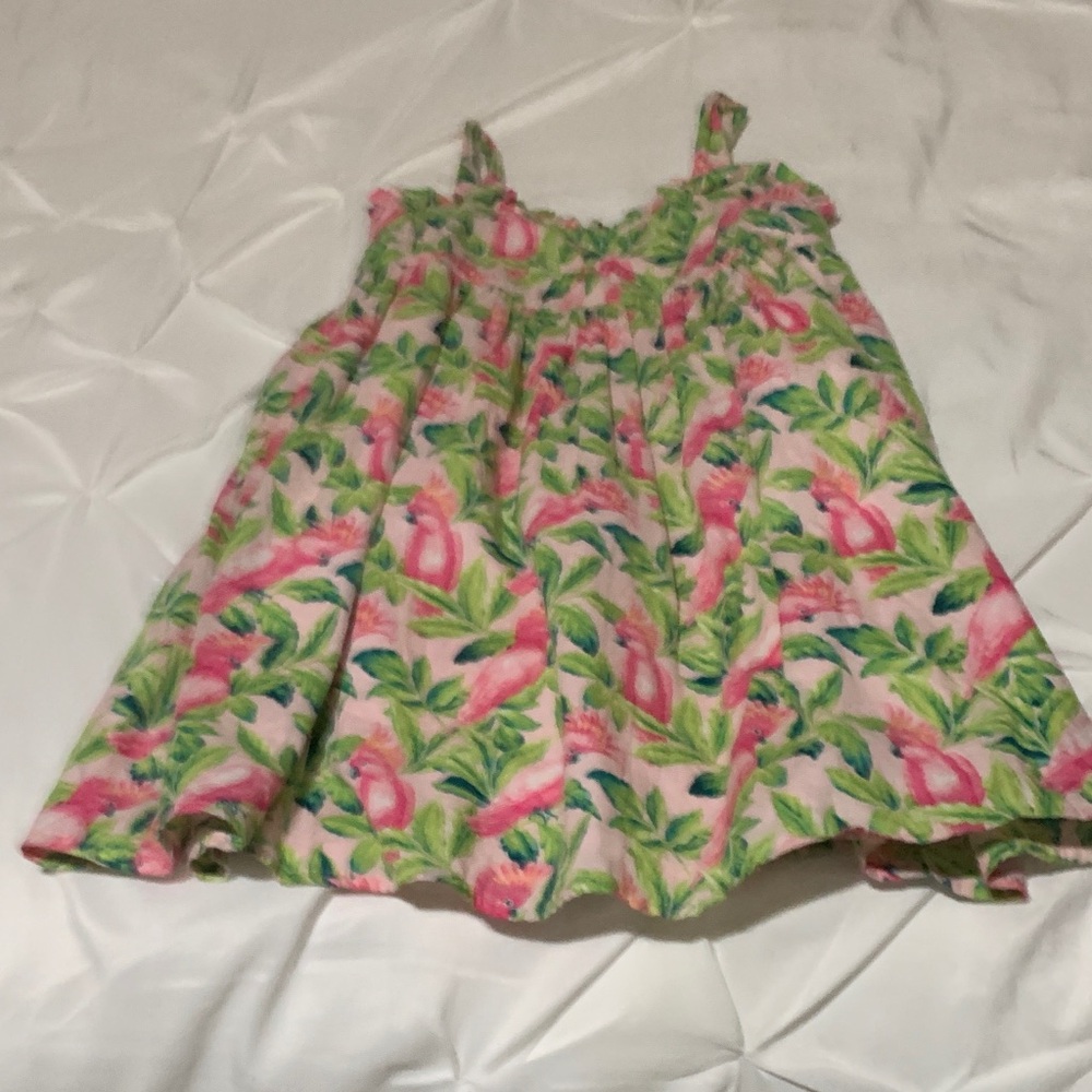 Janie and Jack Pink and Green Floral Kids Dress